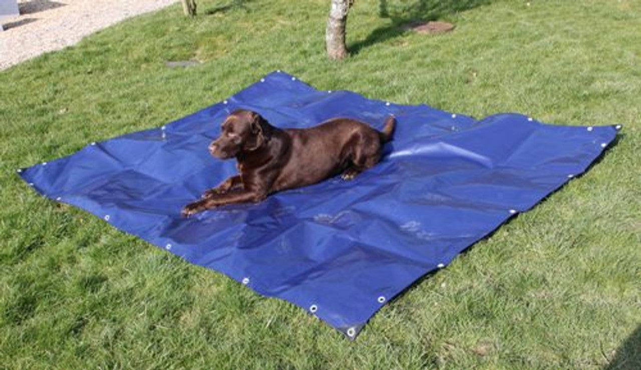 350gsm Blue Beige Heavy Duty Tarpaulin – Waterproof UV-Proof Cover