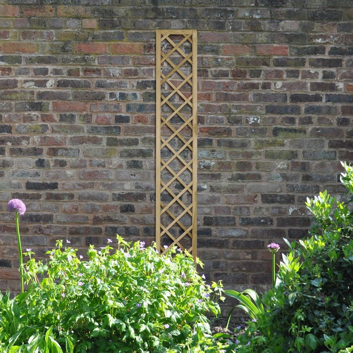 Forest Hidcote Lattice 1.8mtr x 300mm - Treated Timber (Pack of 5)