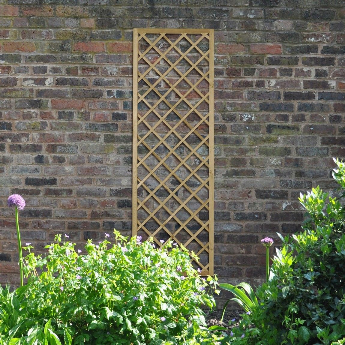 Forest Hidcote Lattice 1.8mtr x 600mm - Treated Timber (Pack of 5)