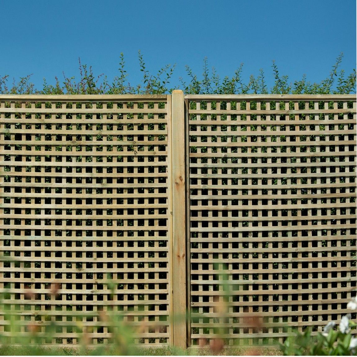 Forest Premium Framed Trellis 1.8m x 1.8m Treated Timber (Pack of 5)
